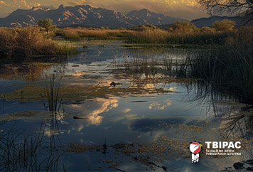 Biden-Harris Administration Announces $25 Million from Investing in America Agenda to Protect Wetlands in Arizona