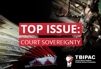 Protect Sovereignty in Courts